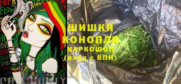 шишки Абаза