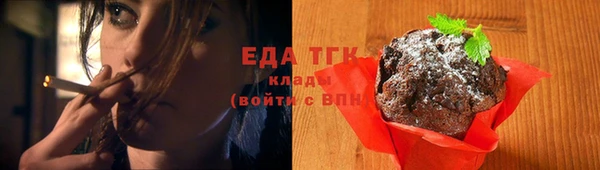 шишки Абаза