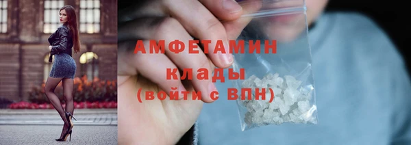 шишки Абаза