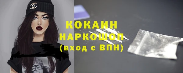 шишки Абаза