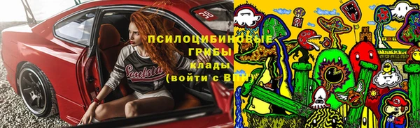 шишки Абаза